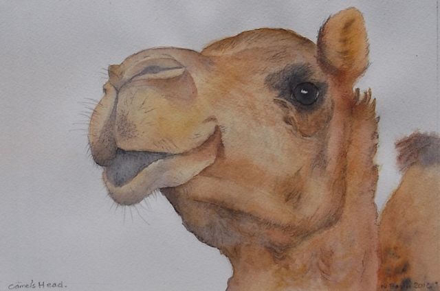 Camel's Head, painted 2016