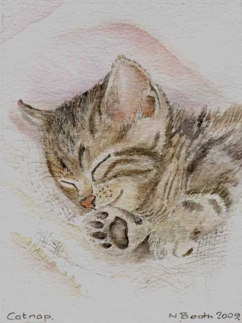 Catnap, painted 2009