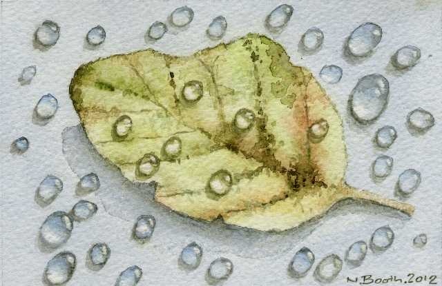 Droplets and Leaf, painted 2012