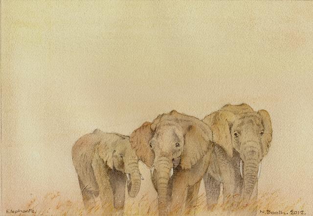 Elephants, painted 2012