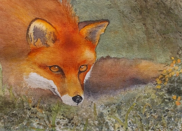 Red Fox, painted 2014