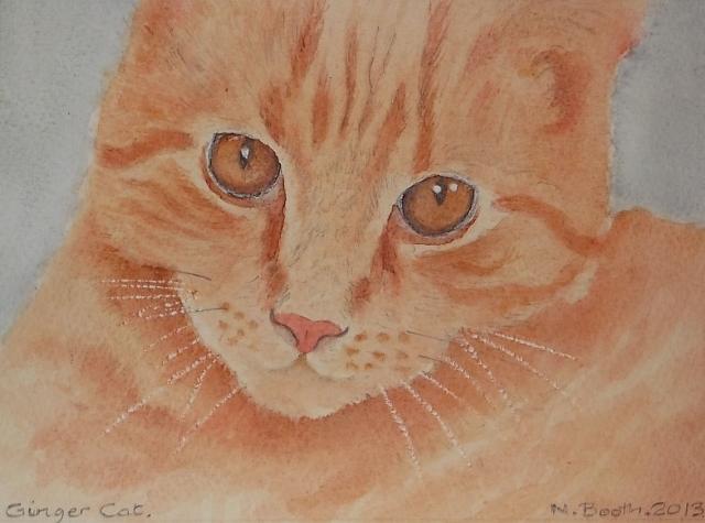 Ginger Cat, painted 2013