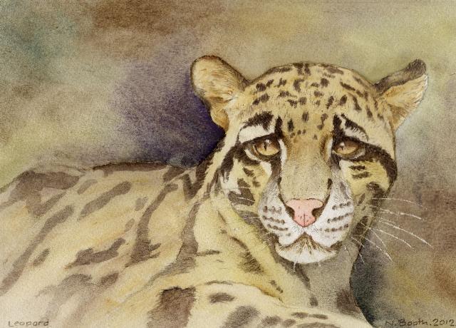 Leopard, painted 2012