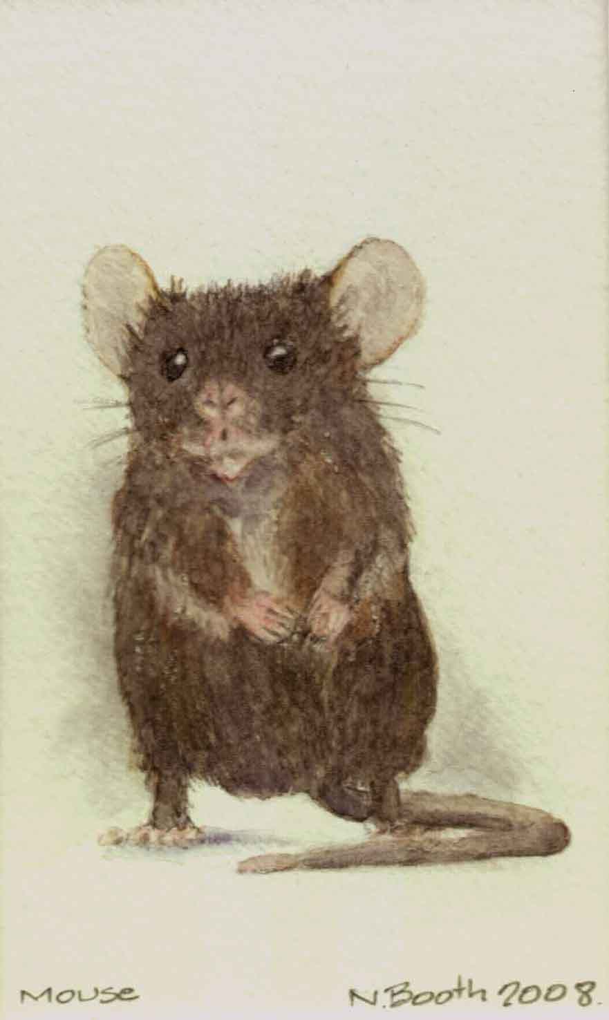 Mouse, painted 2008