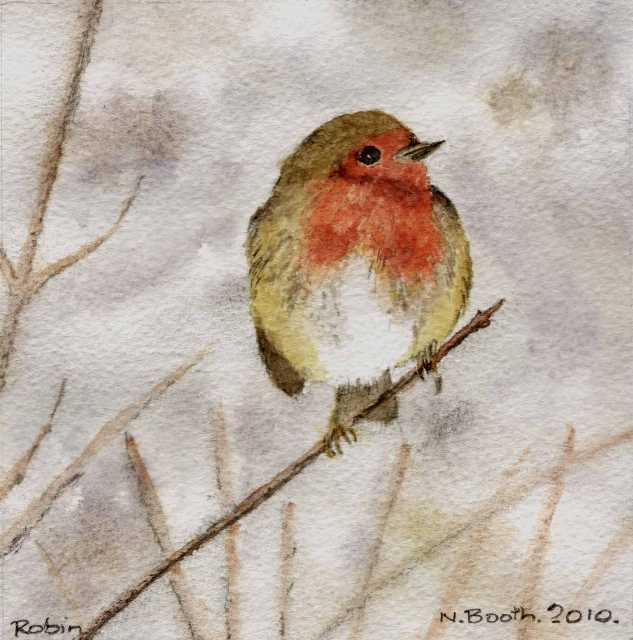 Robin, painted 2010