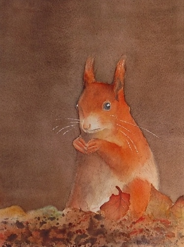 Red Squirrel, painted 2014