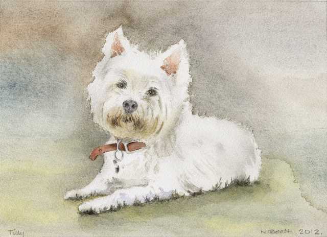 Tilly, painted 2012