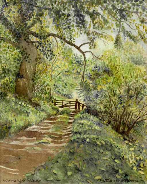 Whitcliffe Wood, painted 2004