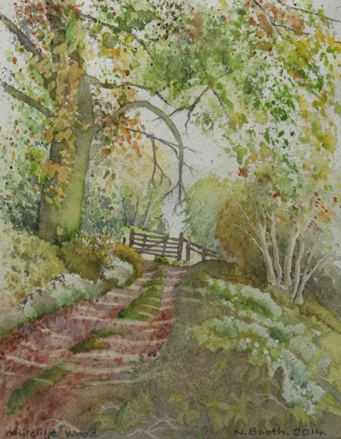Whitcliffe Wood, painted 2014